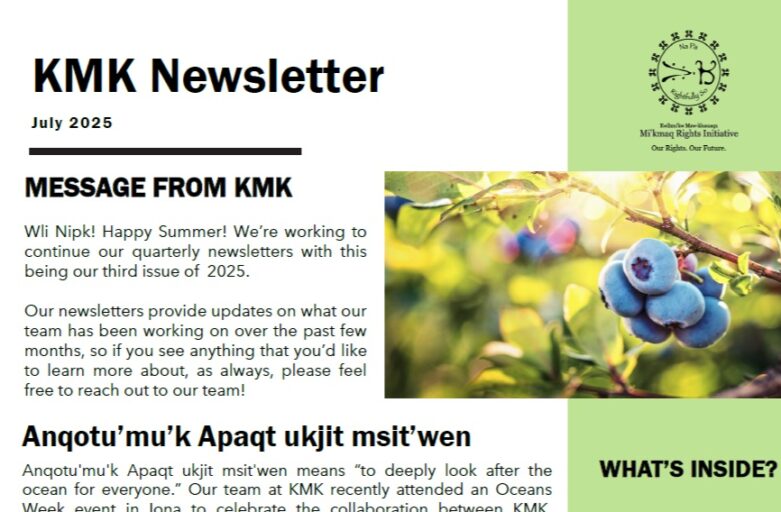 Newsletter – July 2025