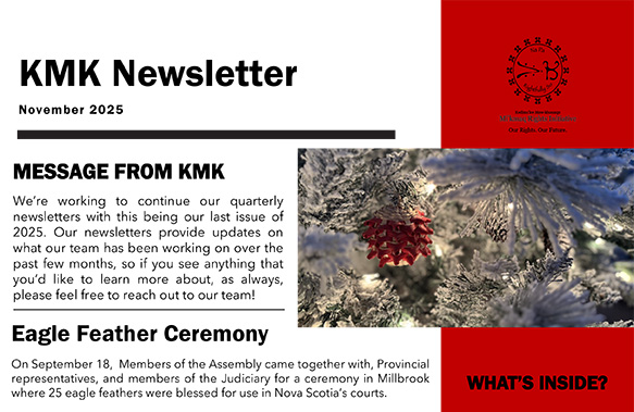 Newsletter – November 2025